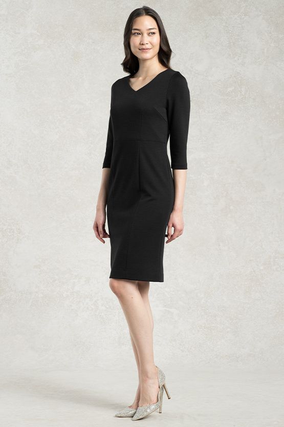 Setup: Black V-Neck I-Line Dress