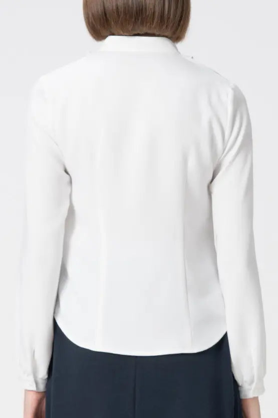 【Back Satin Georgette】Frill Long-Sleeve Blouse