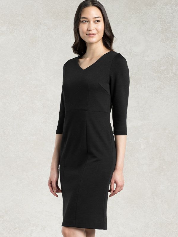 Setup: Black V-Neck I-Line Dress