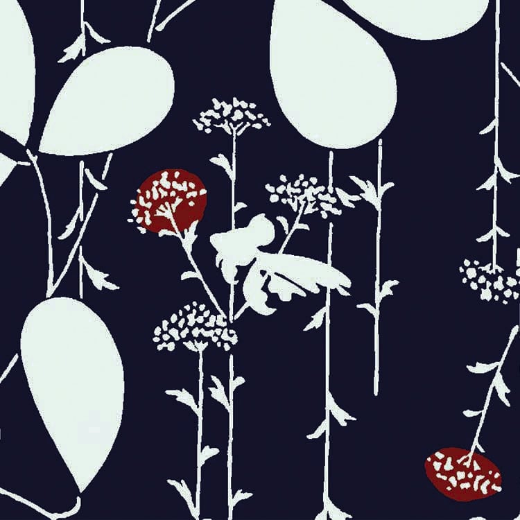 Find The Hidden Goldfish