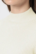【Washable Wool Knit】High-Neck Top