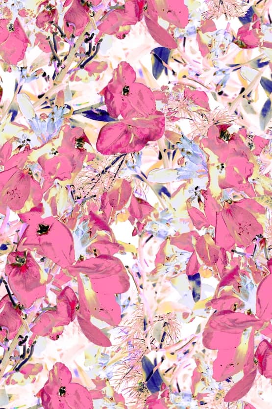 Pink Comet Midi Gather Dress