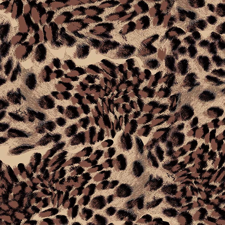 Elegant x Leopard print for mature women