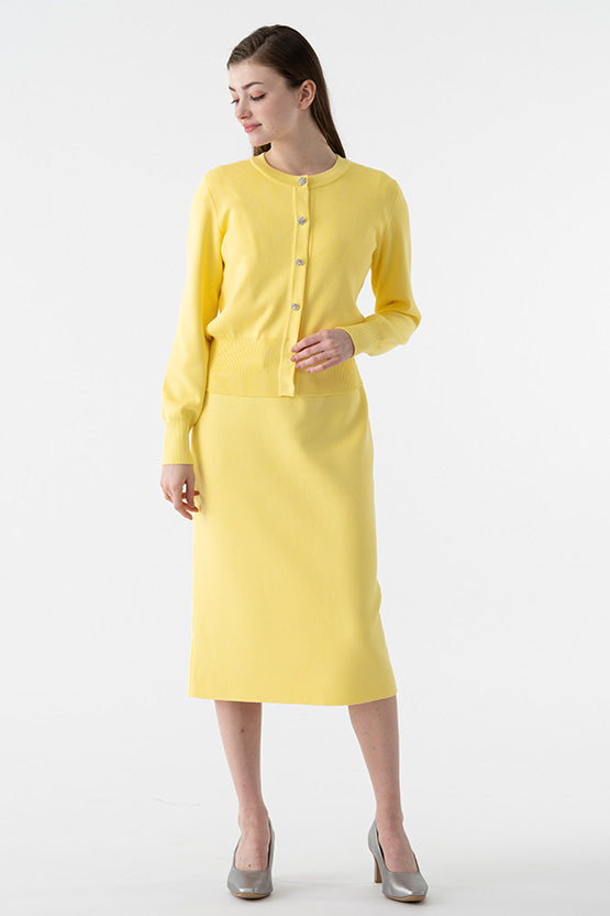 Clione Knit Dress