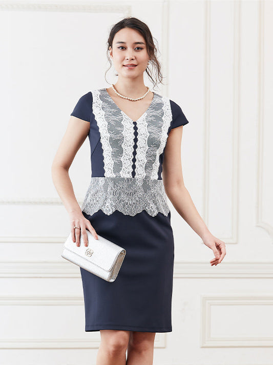 Navy X White Lace Stretch Dress