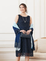 Navy Lace Flare Dress